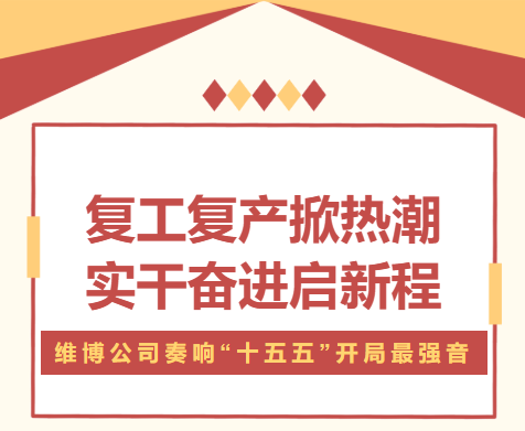 復(fù)工復(fù)產(chǎn)掀熱潮 實干奮進啟新程 —— 維博公司奏響 “十五五” 開局最強音